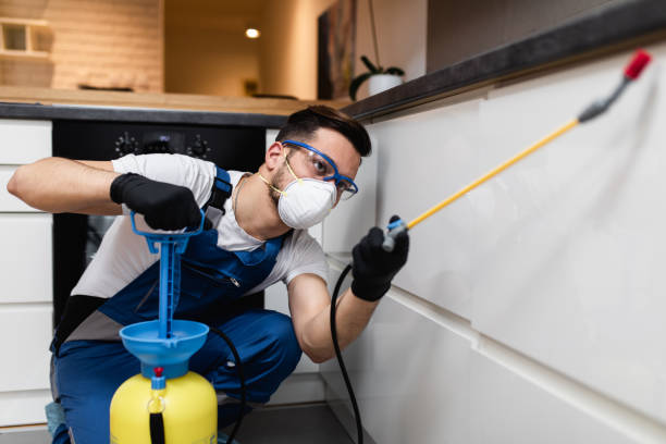 Best Commercial Pest Control Services  in Bluefield, WV