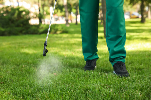 Best Mosquito Control Services  in Bluefield, WV