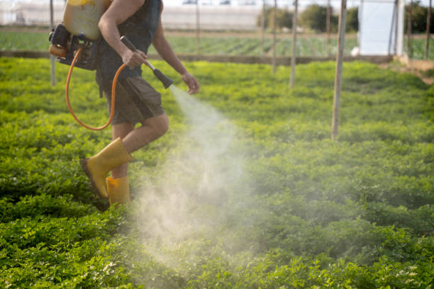 Best Pest Removal Services  in Bluefield, WV