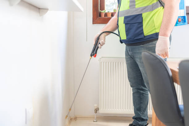 Best Termite Control Services  in Bluefield, WV