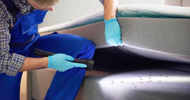 Best Exterminator Services  in Bluefield, WV