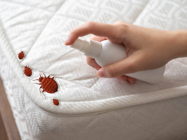 Best Pest Prevention Services  in Bluefield, WV